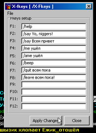 Пример работы скрипта X-fkeys